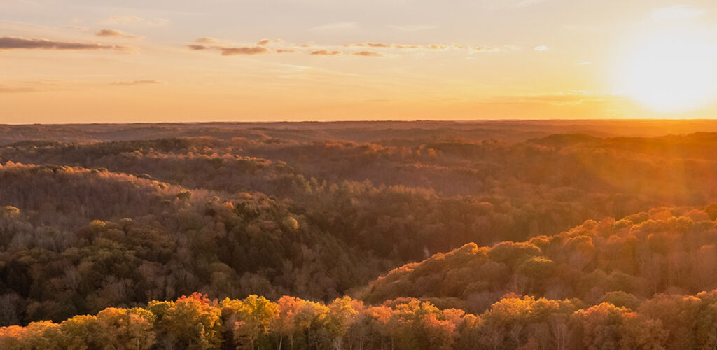 Sunset over Ohio wildlife