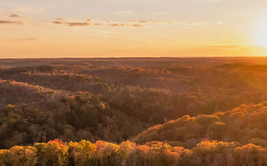 Sunset over Ohio wildlife