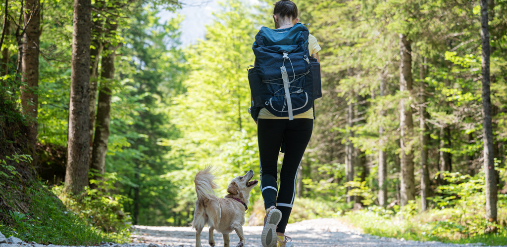Woman walking her dog on a hiking trail