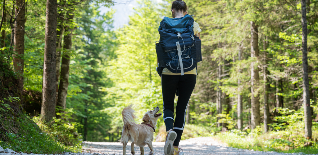 Pet friendly cabins hot sale near hocking hills